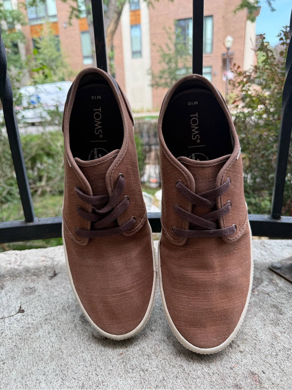 TOMS Men's Carlos Sneaker in Brown